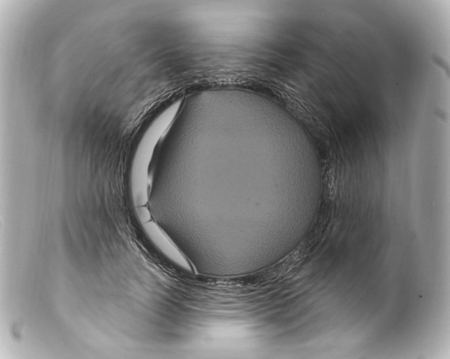 X0000099380746200805291128