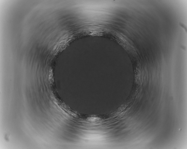 X0000099380748200805291128