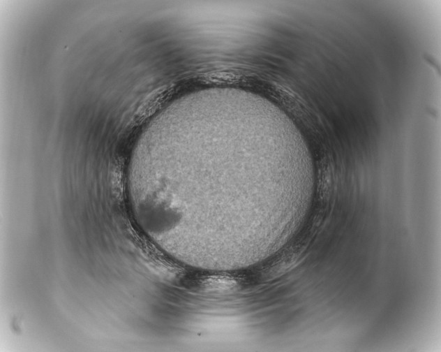 X0000099380749200805291128