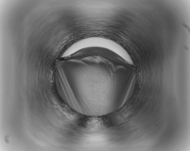 X0000099380750200805291128