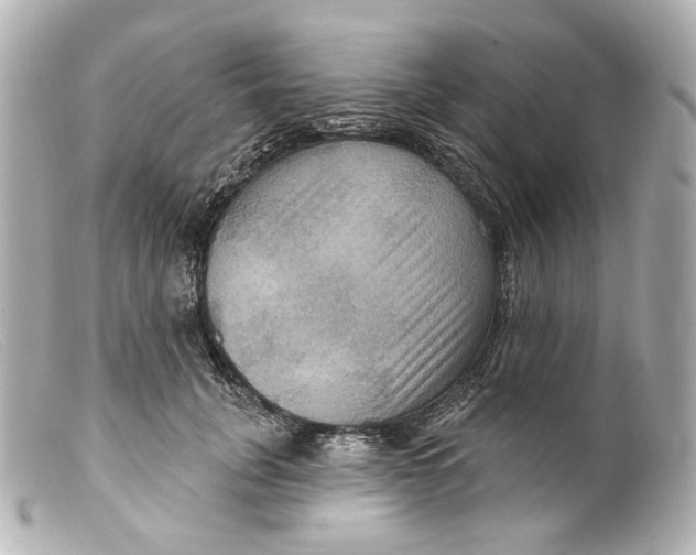 X0000099380751200805291128