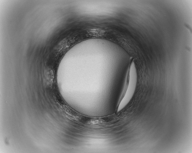 X0000099380752200805291128