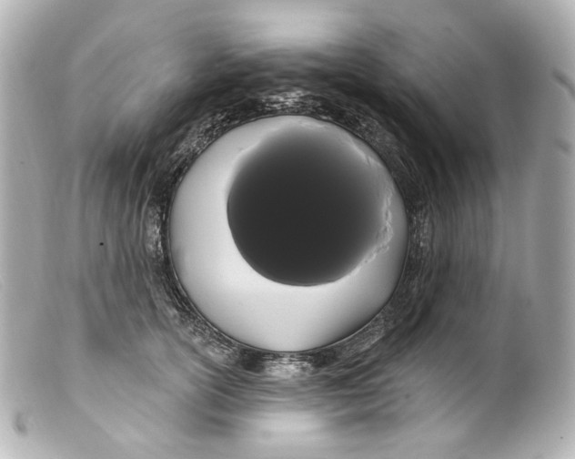 X0000099380754200805291128