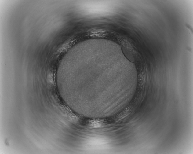 X0000099380755200805291128