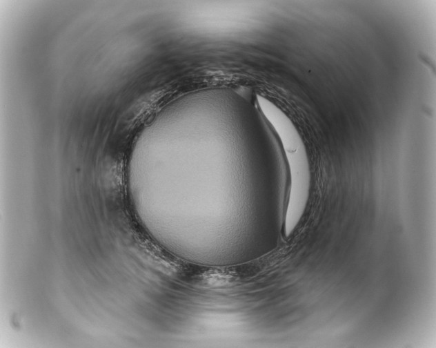 X0000099380756200805291128