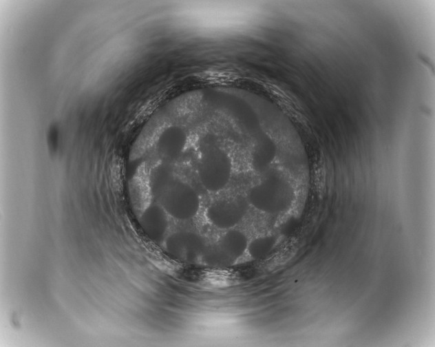 X0000099380757200805291128