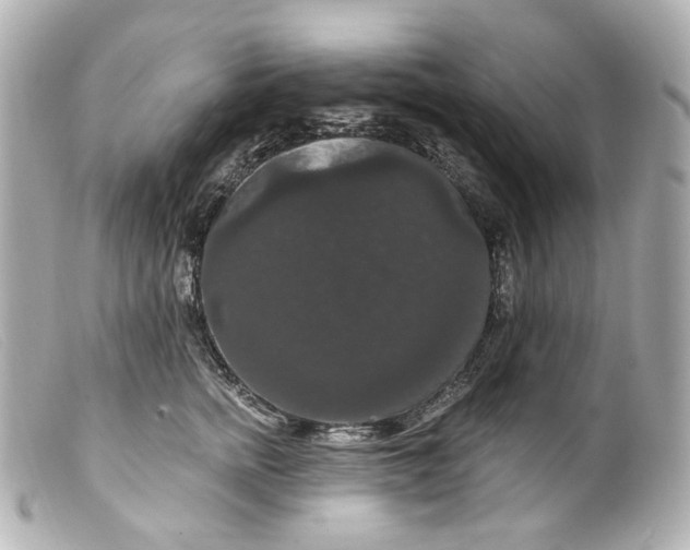 X0000099380758200805291128