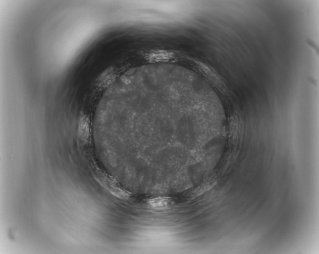 X0000099380761200805291128