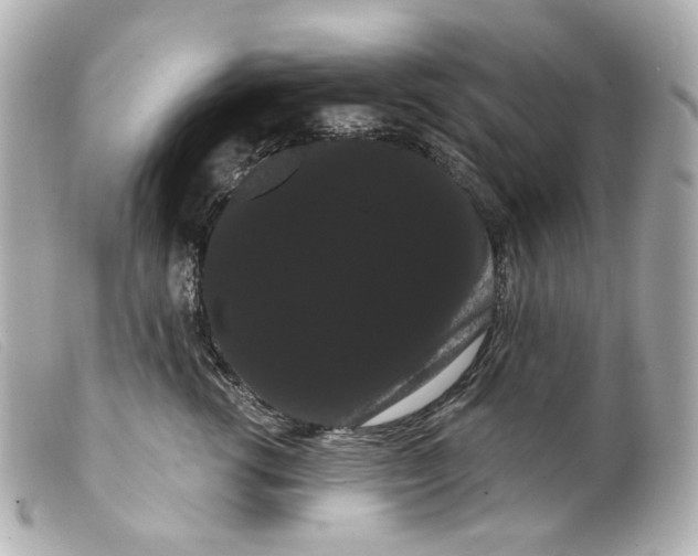 X0000099380762200805291128