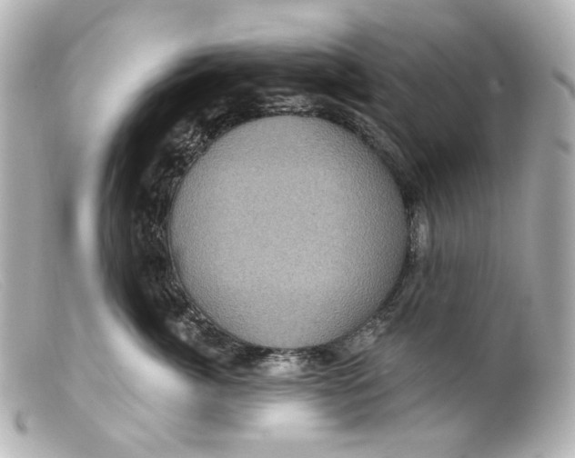 X0000099380764200805291128