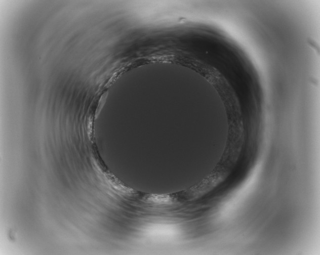 X0000099380767200805291128