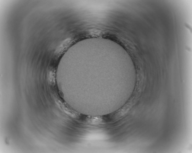 X0000099380768200805291128