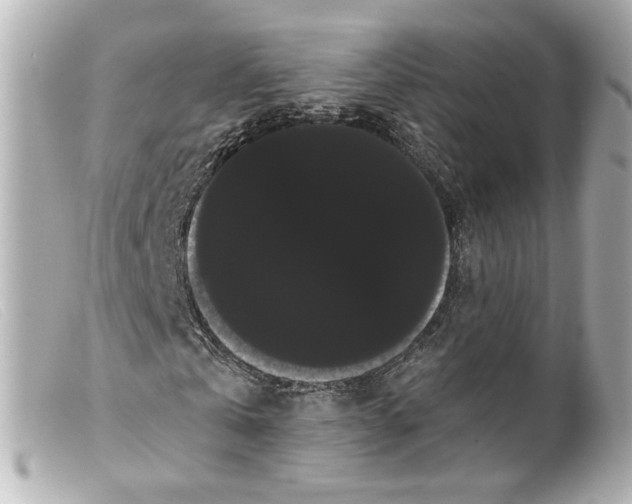 X0000099380769200805291127