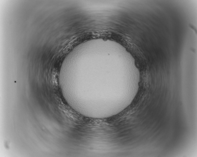 X0000099380770200805291127