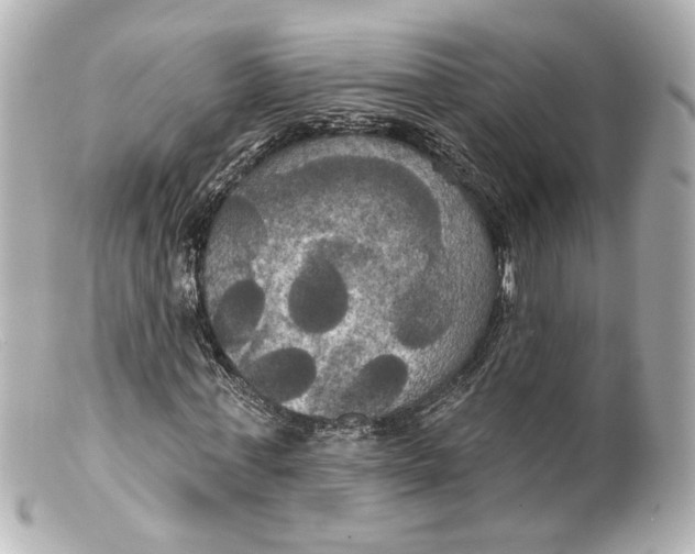 X0000099380771200805291127