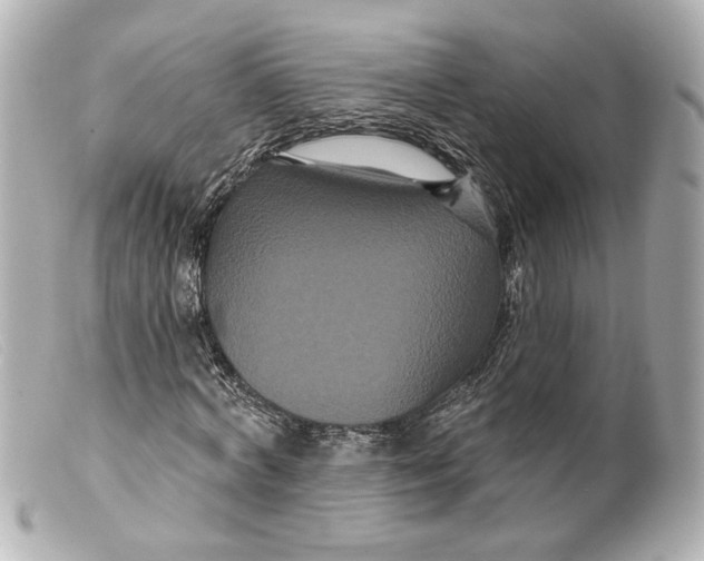 X0000099380772200805291127