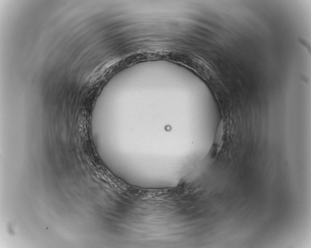 X0000099380773200805291127