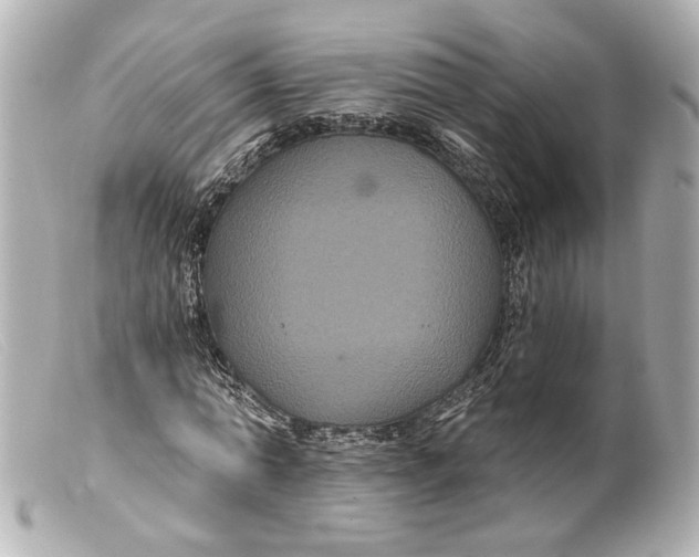 X0000099380774200805291127