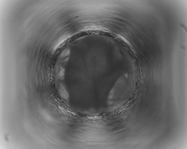 X0000099380775200805291127