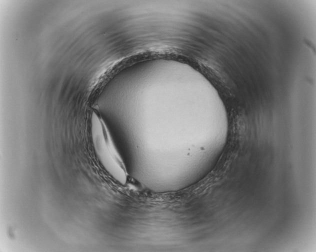 X0000099380776200805291127