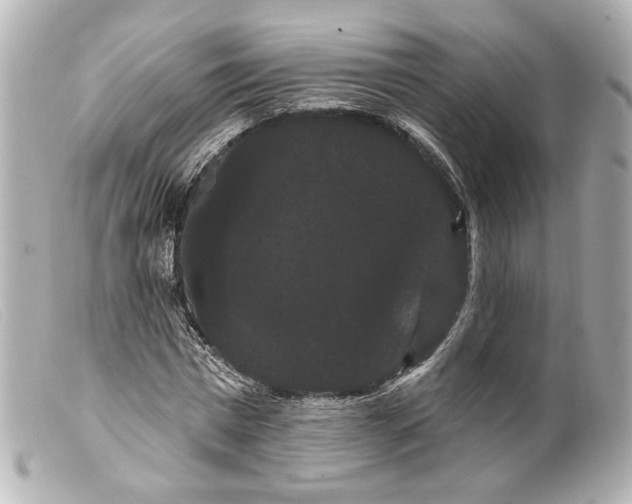 X0000099380777200805291127