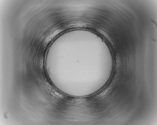 X0000099380778200805291127