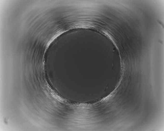 X0000099380779200805291127