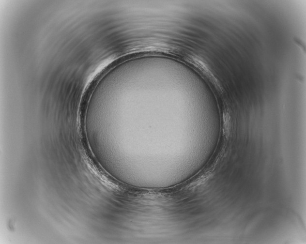 X0000099380780200805291127