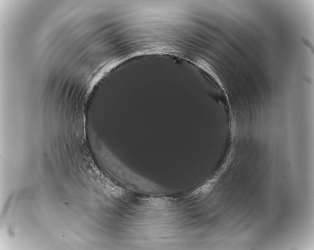 X0000099380781200805291127