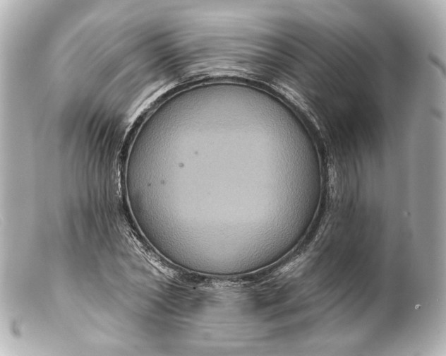 X0000099380782200805291127