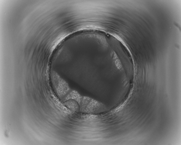 X0000099380783200805291127