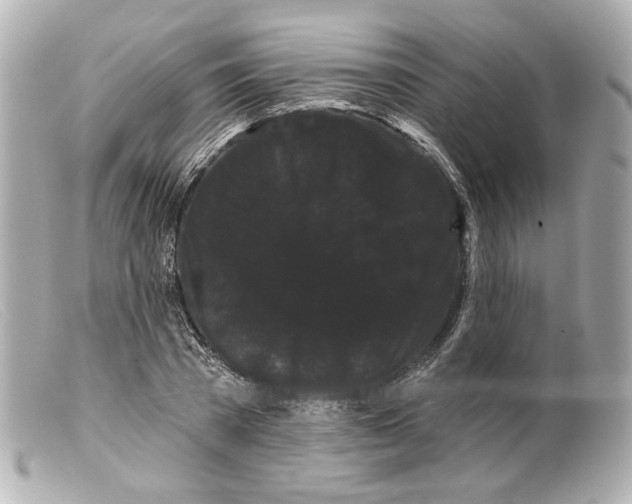 X0000099380785200805291127