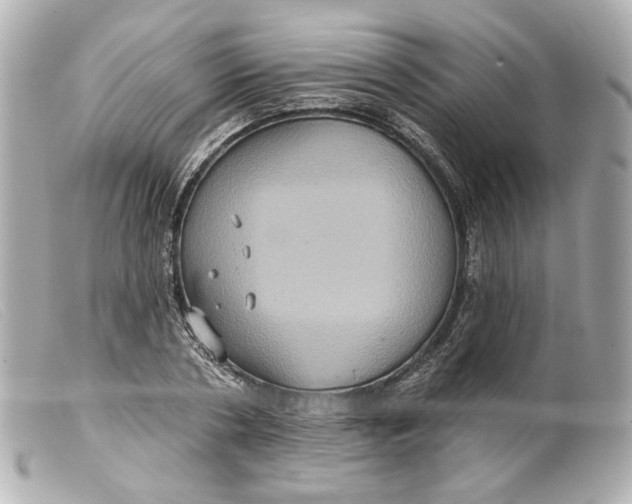 X0000099380786200805291127