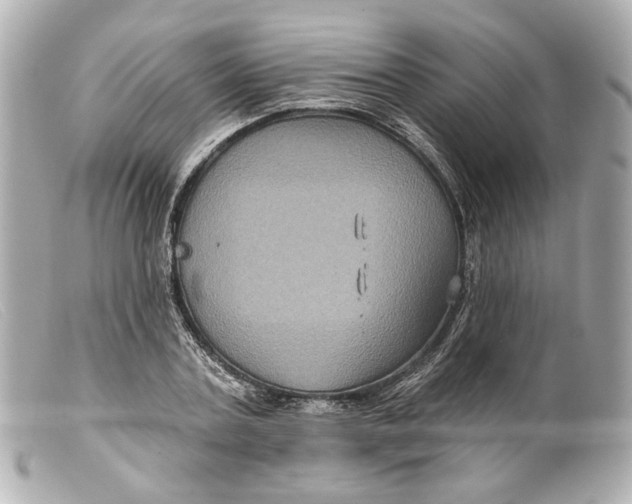 X0000099380787200805291127