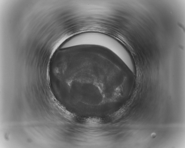 X0000099380788200805291127