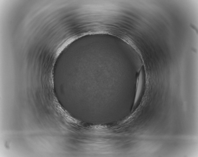 X0000099380789200805291127