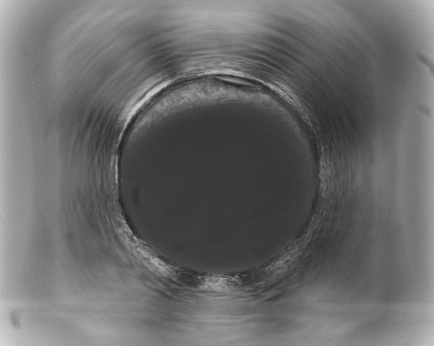 X0000099380790200805291127