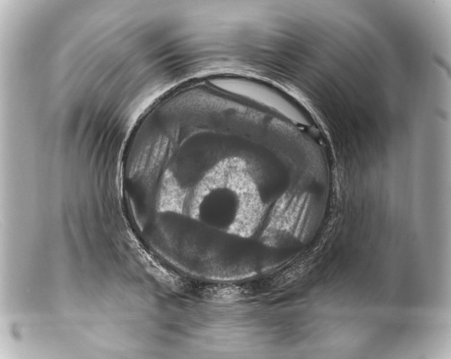 X0000099380791200805291127