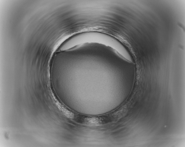 X0000099380792200805291127