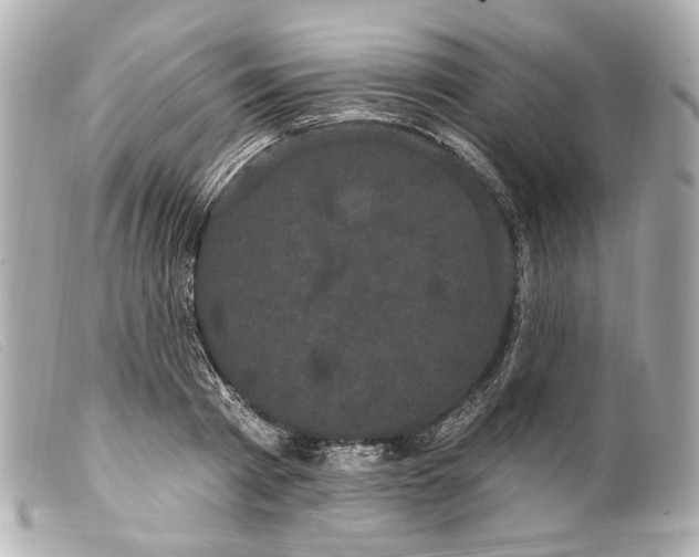 X0000099380793200805291127