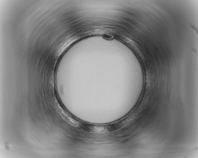 X0000099380794200805291127