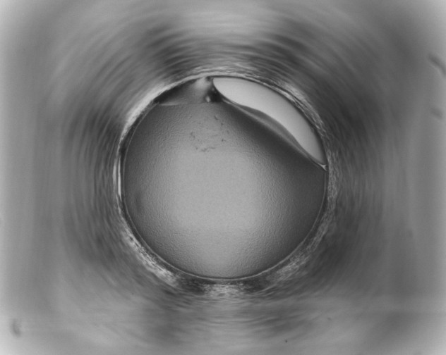 X0000099380796200805291127