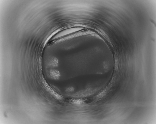 X0000099380798200805291127