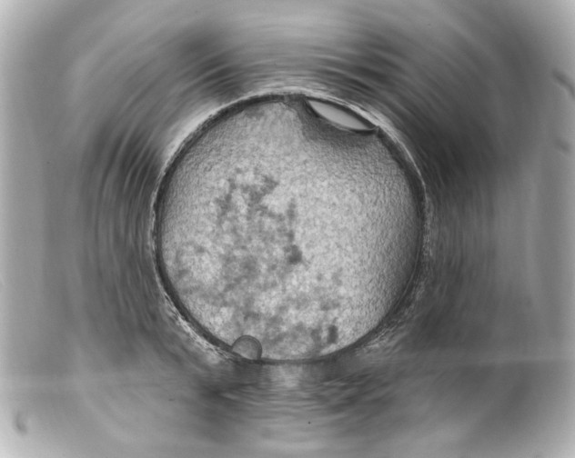 X0000099380799200805291127