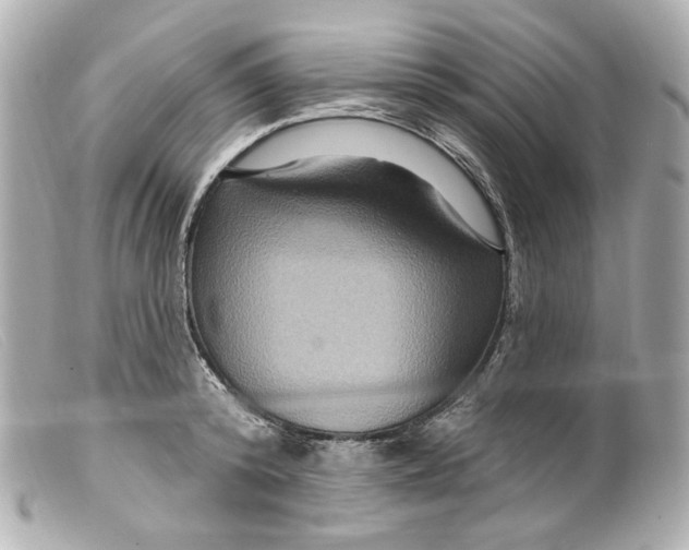 X0000099380800200805291127