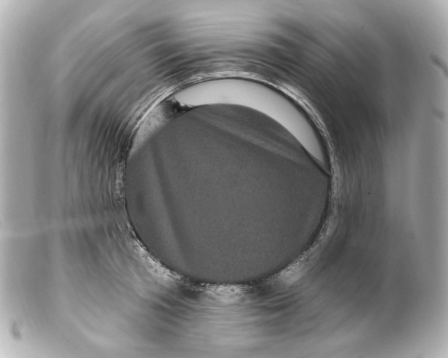 X0000099380801200805291127