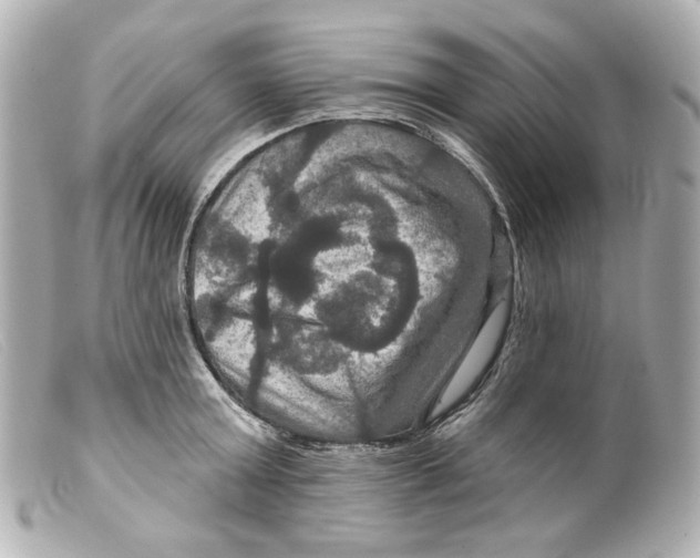 X0000099380803200805291127