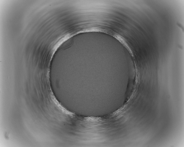 X0000099380805200805291127