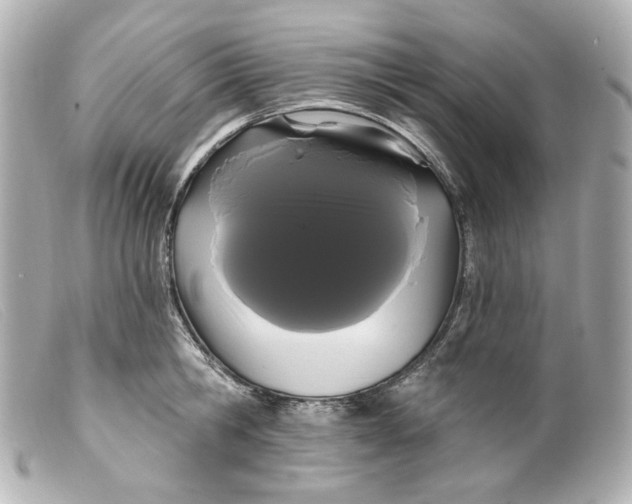 X0000099380806200805291127