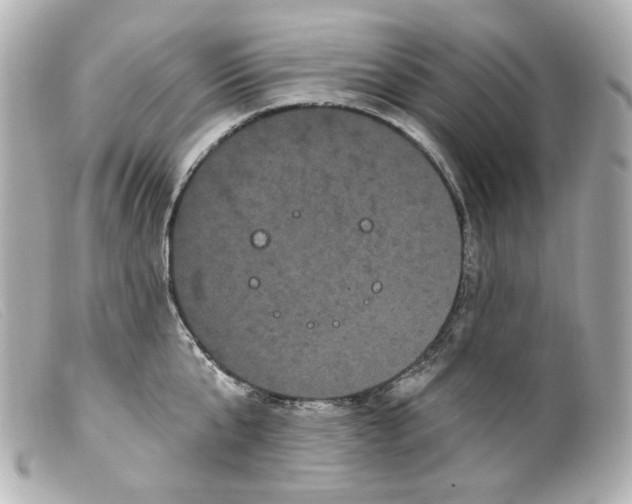 X0000099380807200805291127